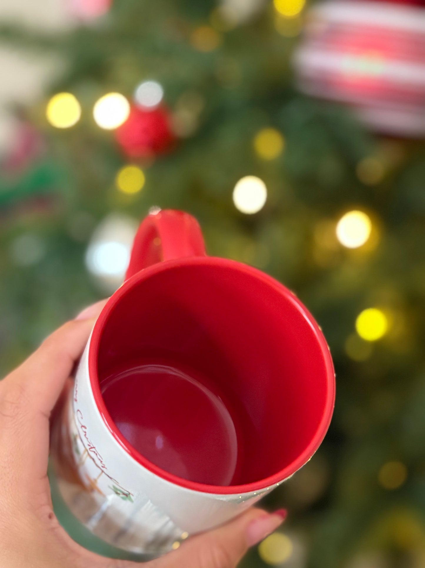 Merry Christmas Mug